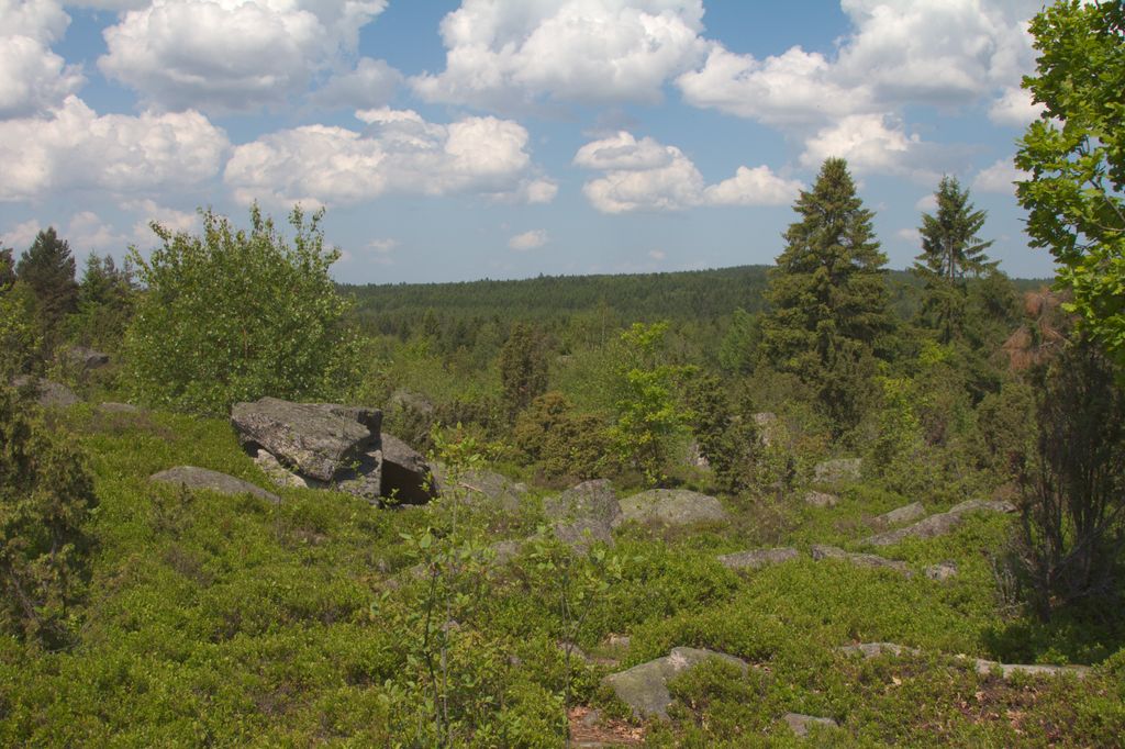 Photo №5 of Výhon