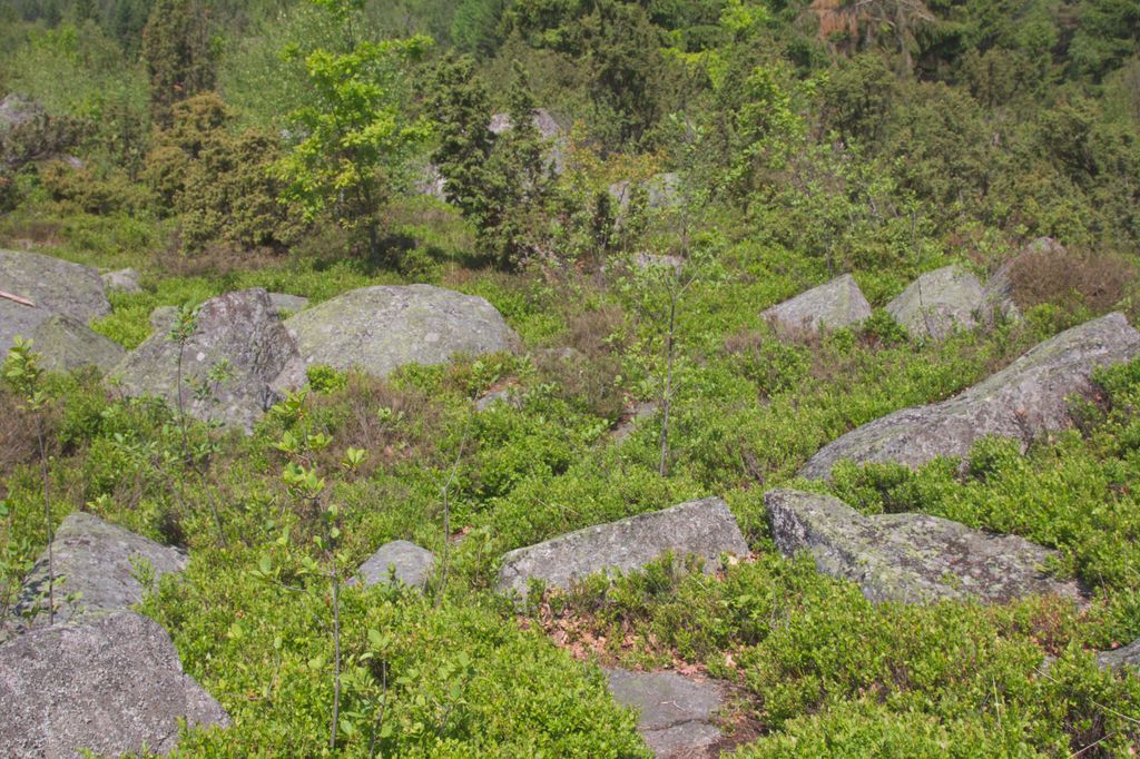 Photo №7 of Výhon