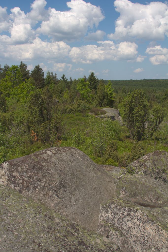 Photo №6 of Výhon
