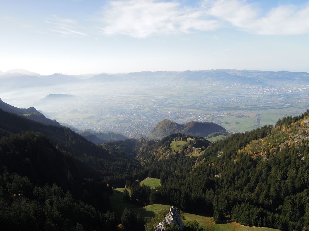 Photo №2 of Großer Löwenzahn