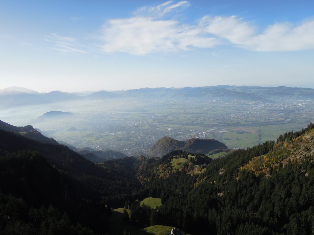 Photo №3 of Großer Löwenzahn