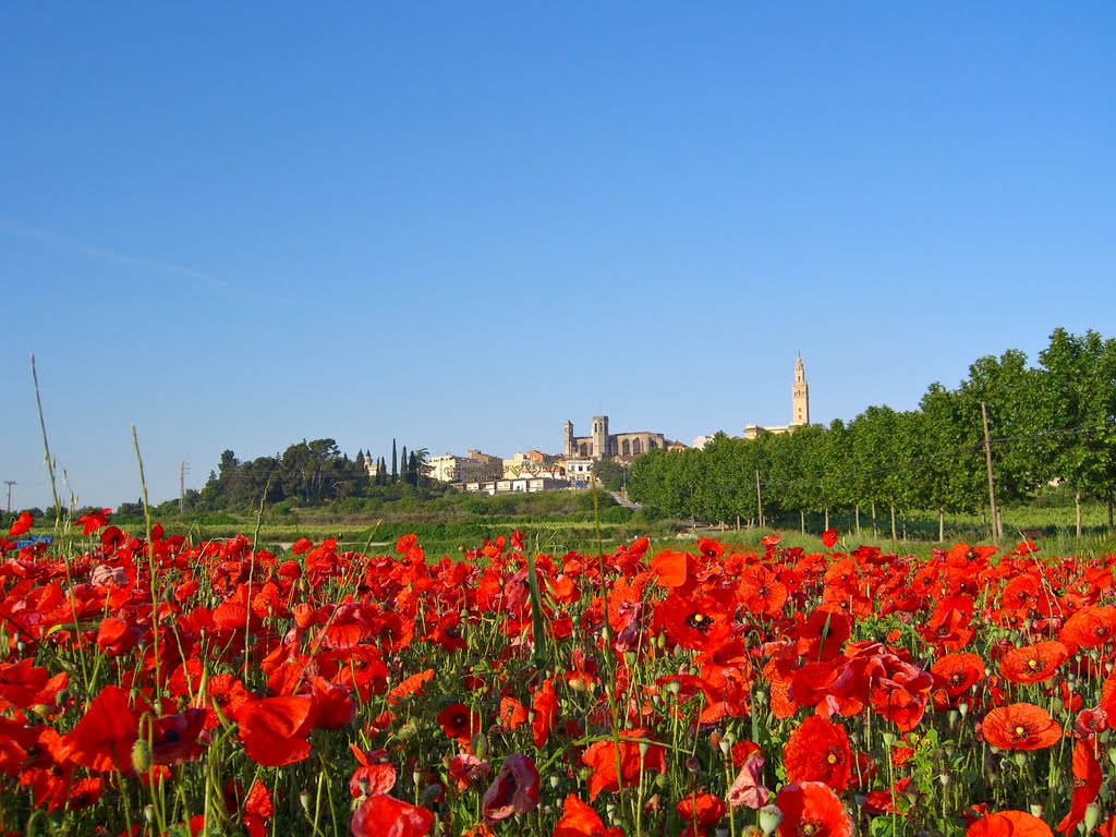 Photo №2 of L'Arboç