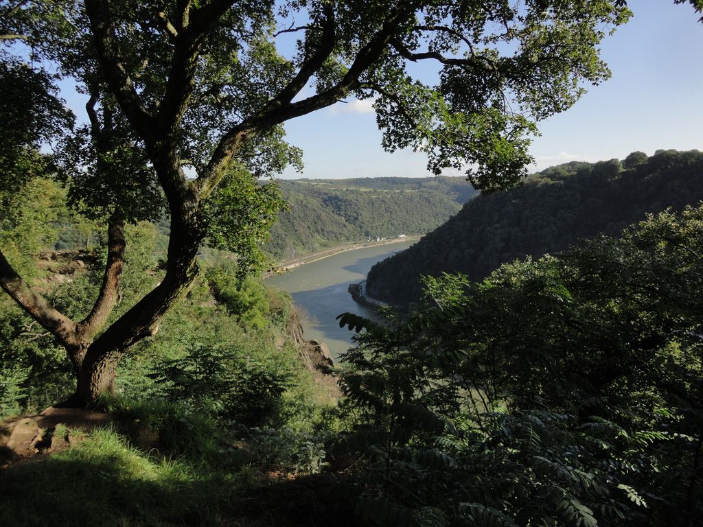 Loreley