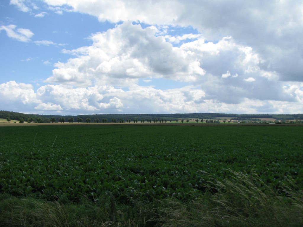 Photo №2 of Barenberg