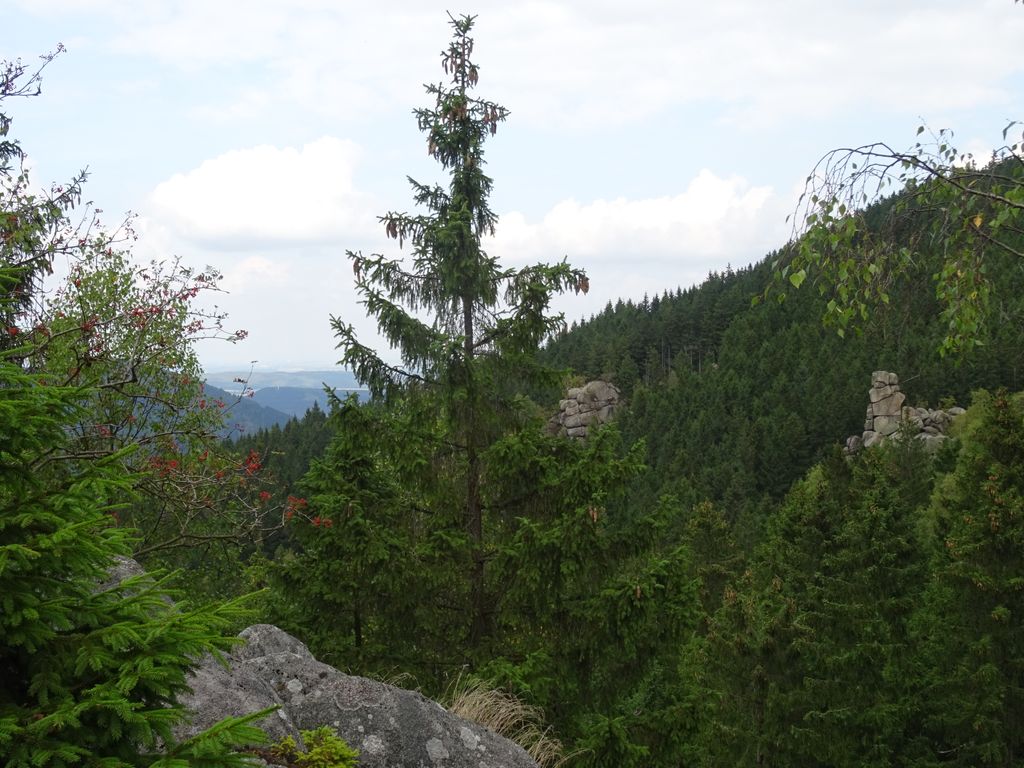 Photo №2 of Feigenbaumklippe