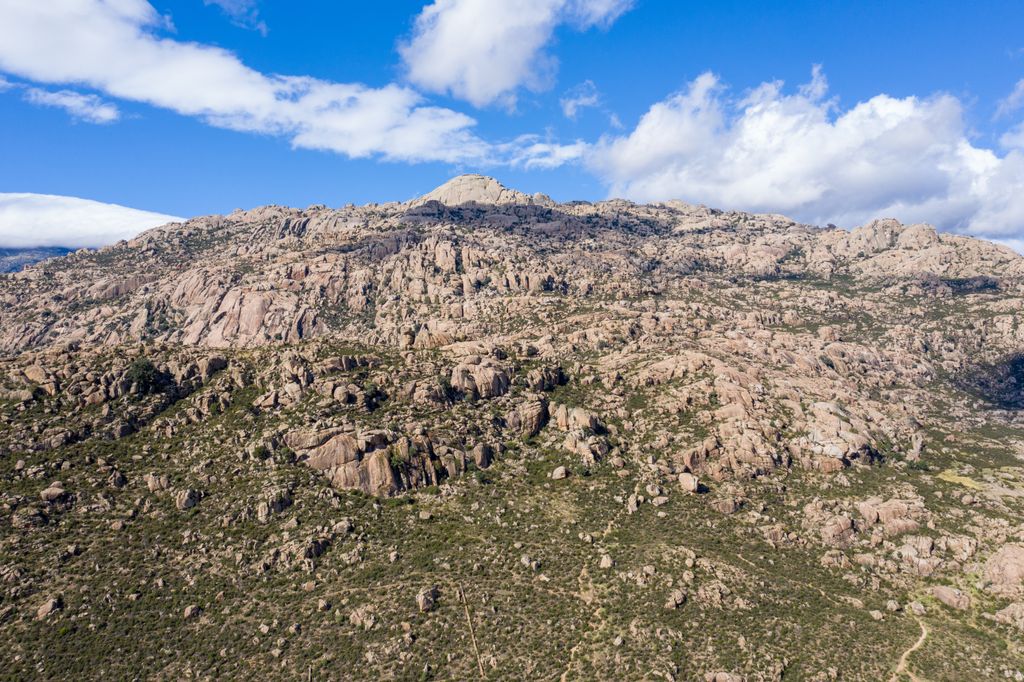Photo №2 of El Pájaro