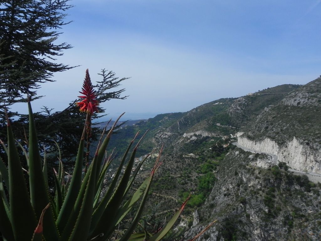 Photo №8 of La Calanca