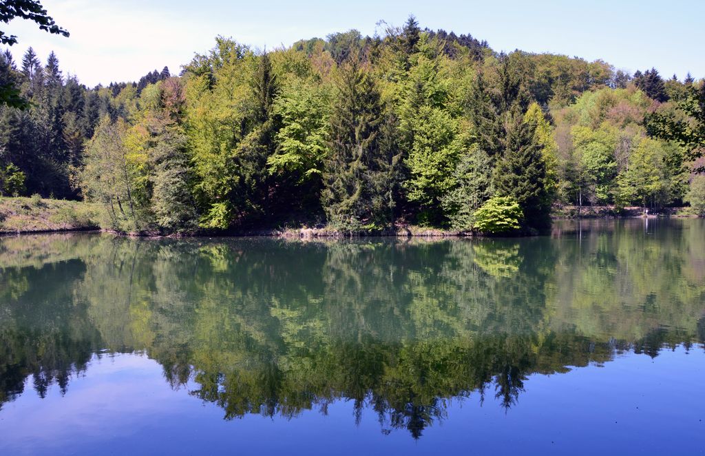 Photo №2 of Bassin du barrage de l'Aubonne