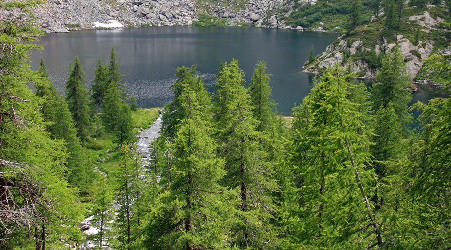 Photo №4 of Lago Cornuto