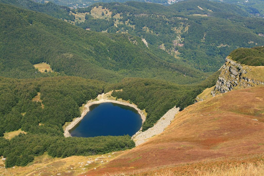 Lago Palo