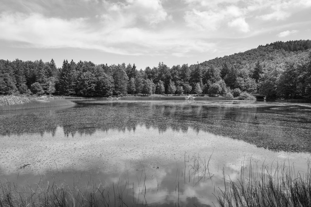 Lago Pranda