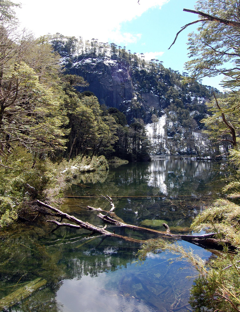 Lago Chico