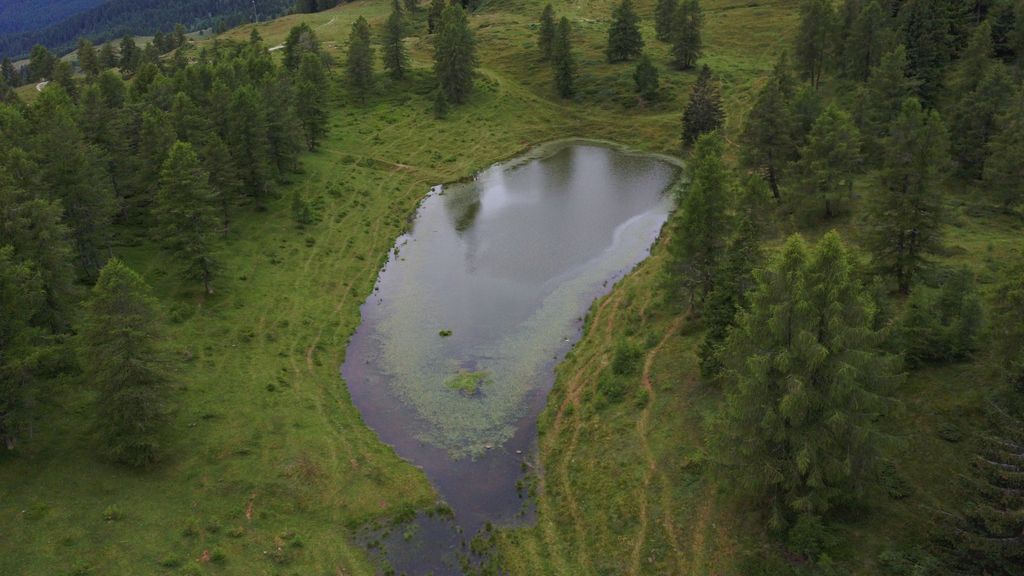 Photo №2 of Lago Grande