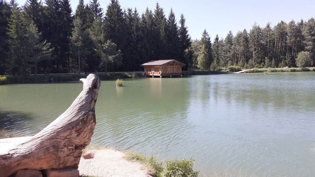 Photo №10 of Huber-Weiher - Laghetto Huber