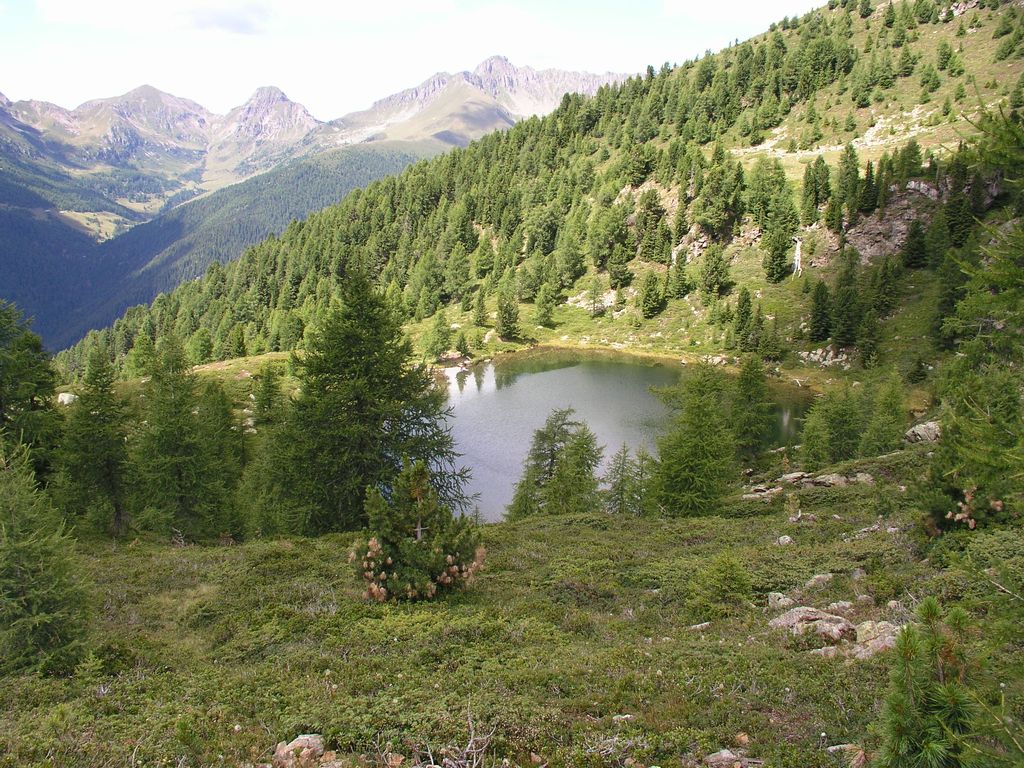 Photo №3 of Lago Nassere (Busa del Lago)