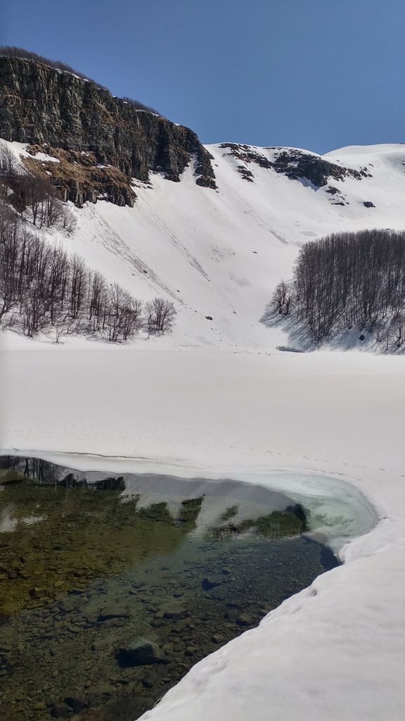 Lago Palo