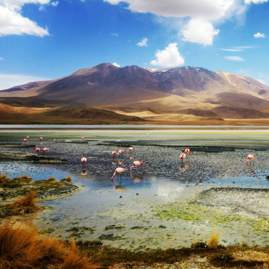 Photo №2 of Laguna Hedionda