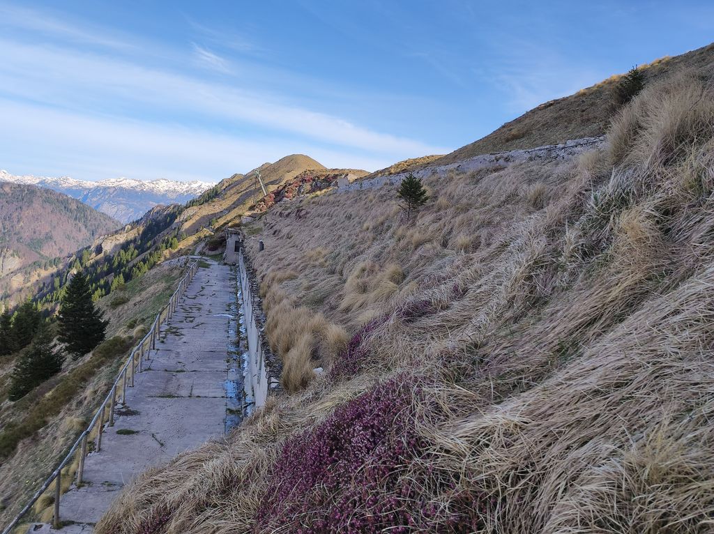 Photo №3 of Lajnar