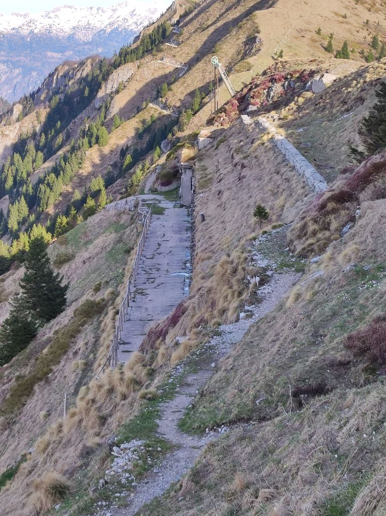 Photo №4 of Lajnar