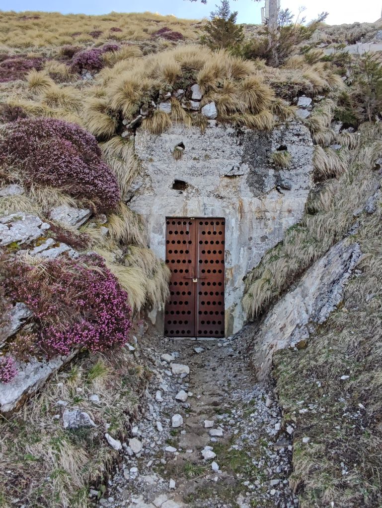 Photo №5 of Lajnar