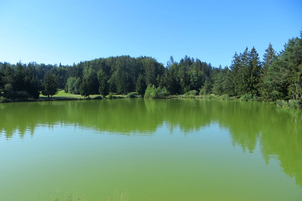 Photo №3 of Bloško jezero