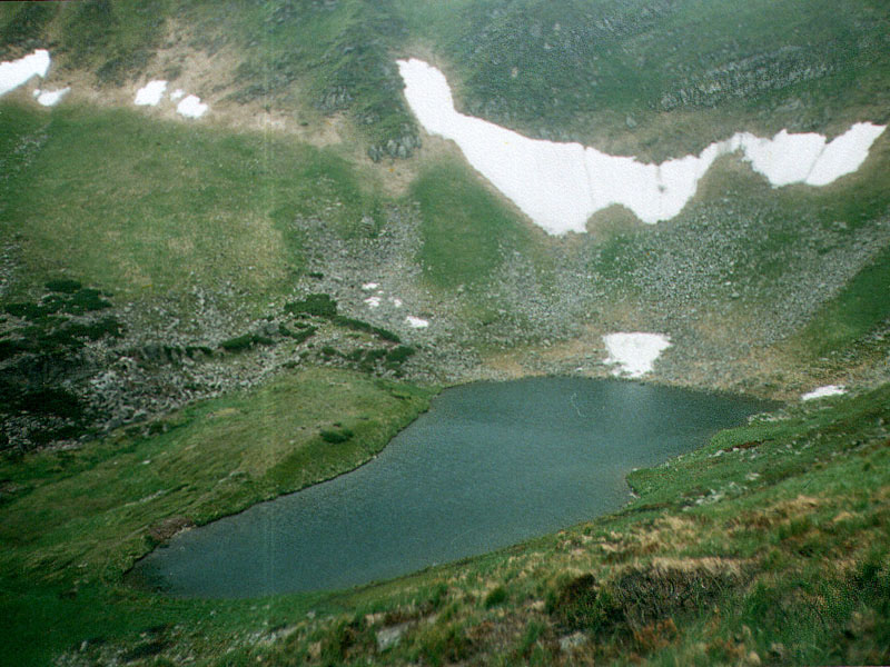 Brebeneskul