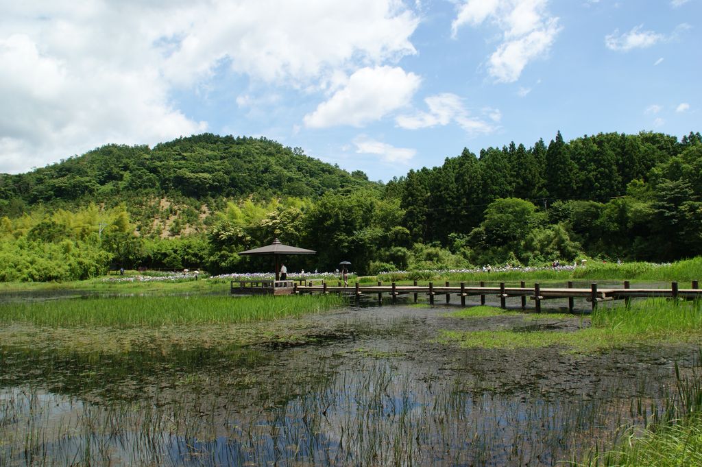 Photo №2 of Kagura Onna Mizuumi