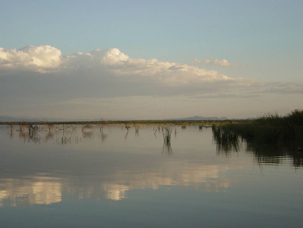Photo №2 of Lake Baringo