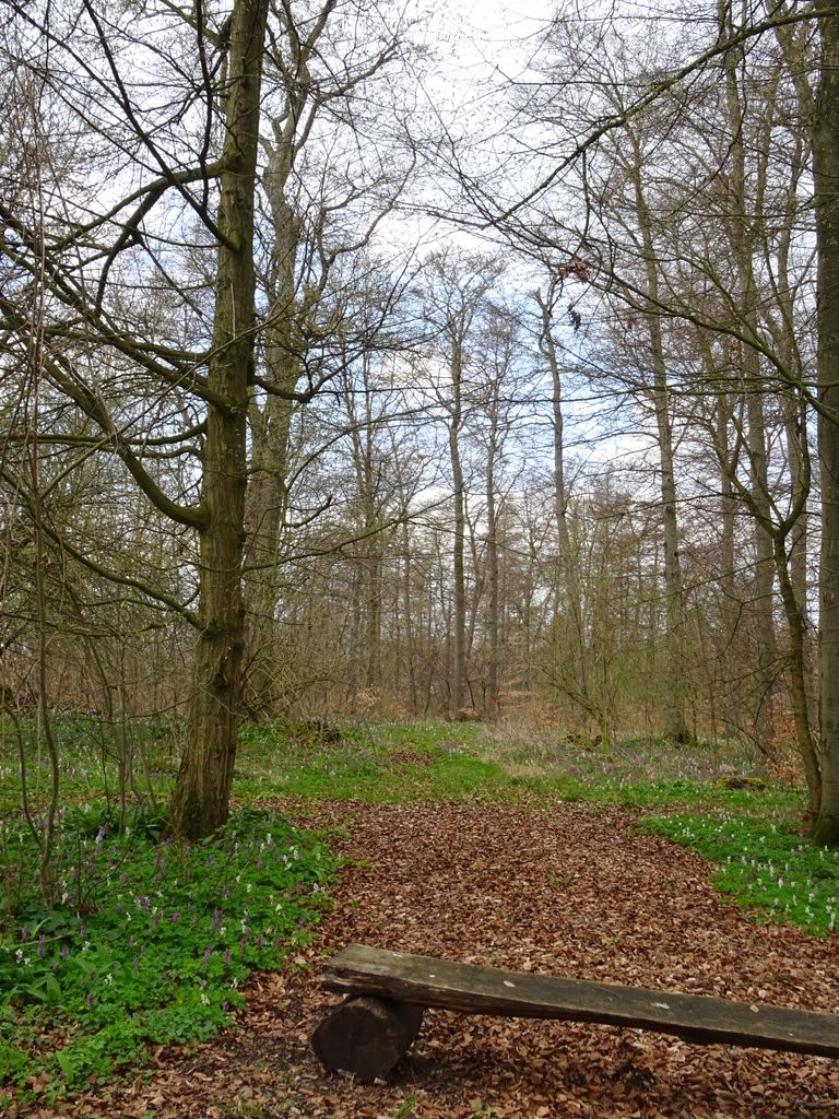 Photo №3 of Himmelberg