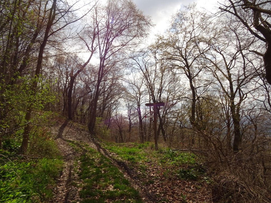 Photo №2 of Himmelberg