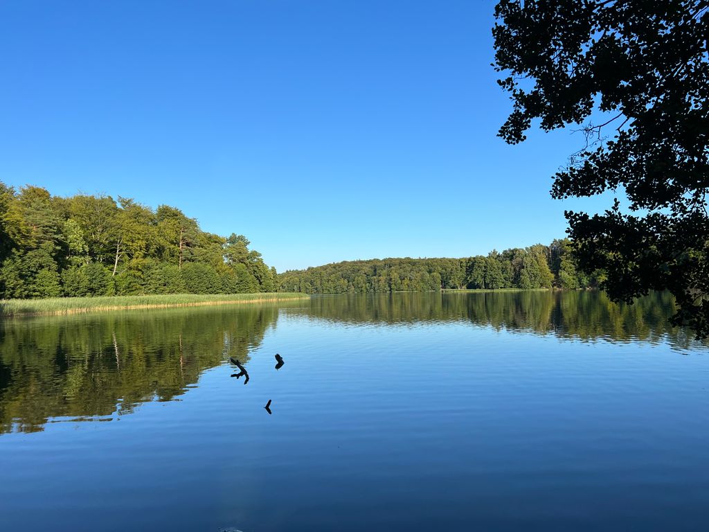 Photo №3 of Liepnitzsee
