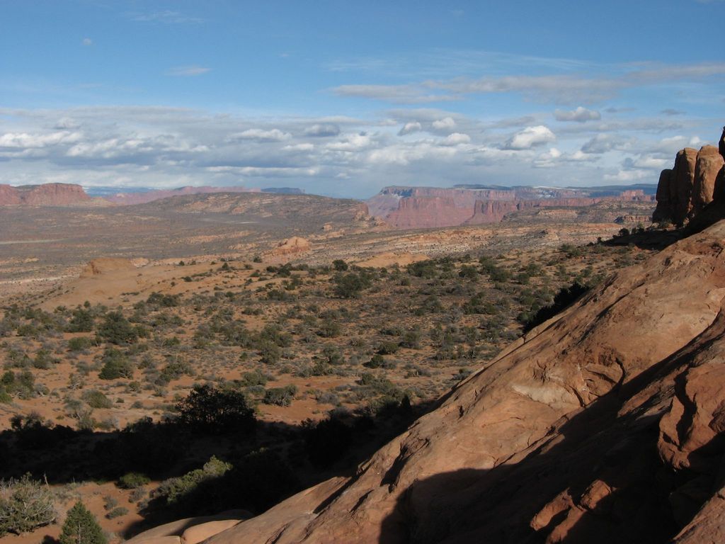 Photo №7 of Jacks Mummy