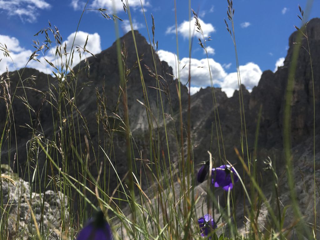 Photo №3 of Passo dei Tocci