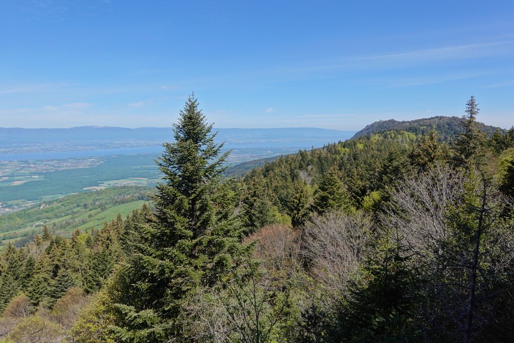 Photo №2 of Le Pralère