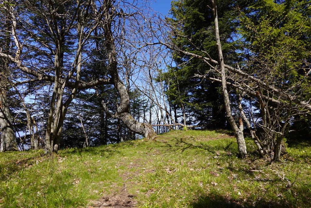 Photo №4 of Le Pralère