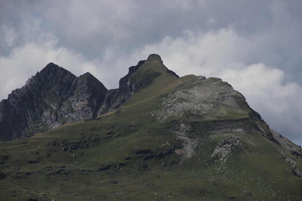 Photo №2 of La Palette