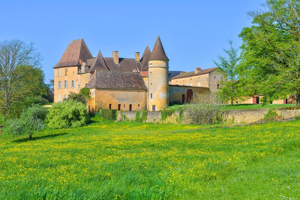 Photo №2 of Domaine du château de la Bourlie