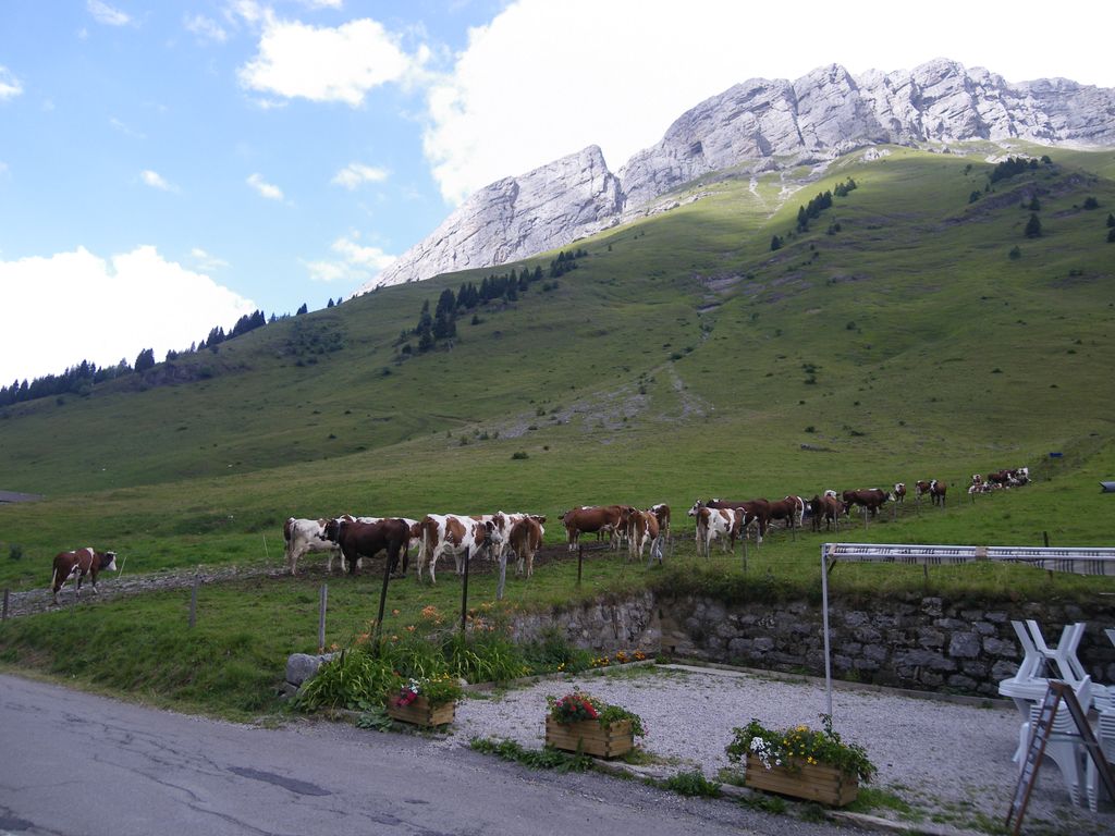 Photo №10 of Col des Aravis