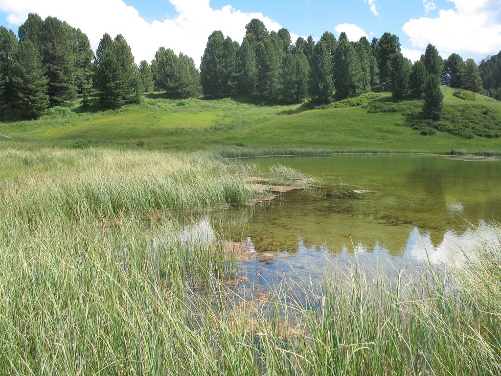 Photo №5 of Lech Sant