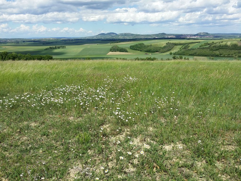 Photo №6 of Leopoldsberg