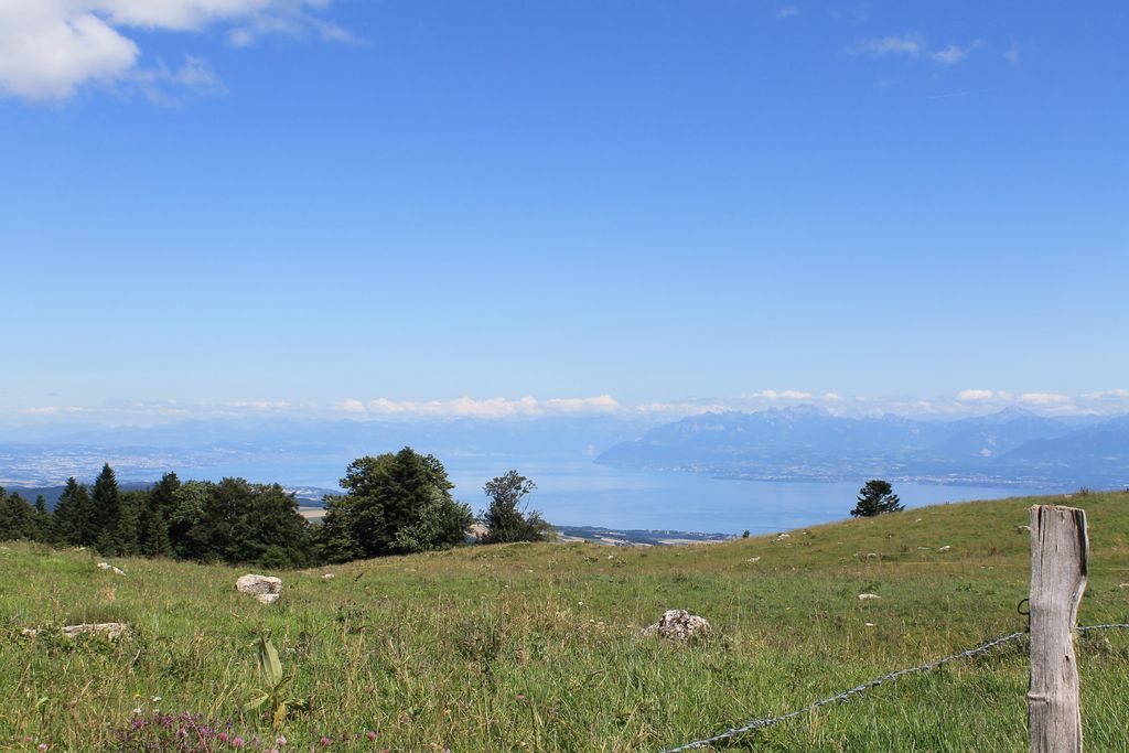 Photo №1 of Fruitieres de Nyon