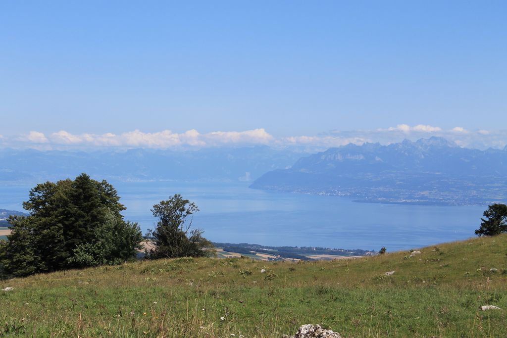 Photo №4 of Fruitieres de Nyon