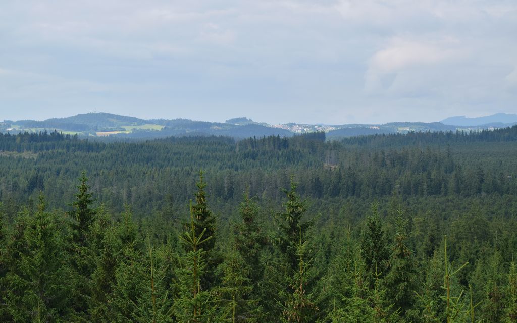 Photo №8 of Lehrmüller-Mauer