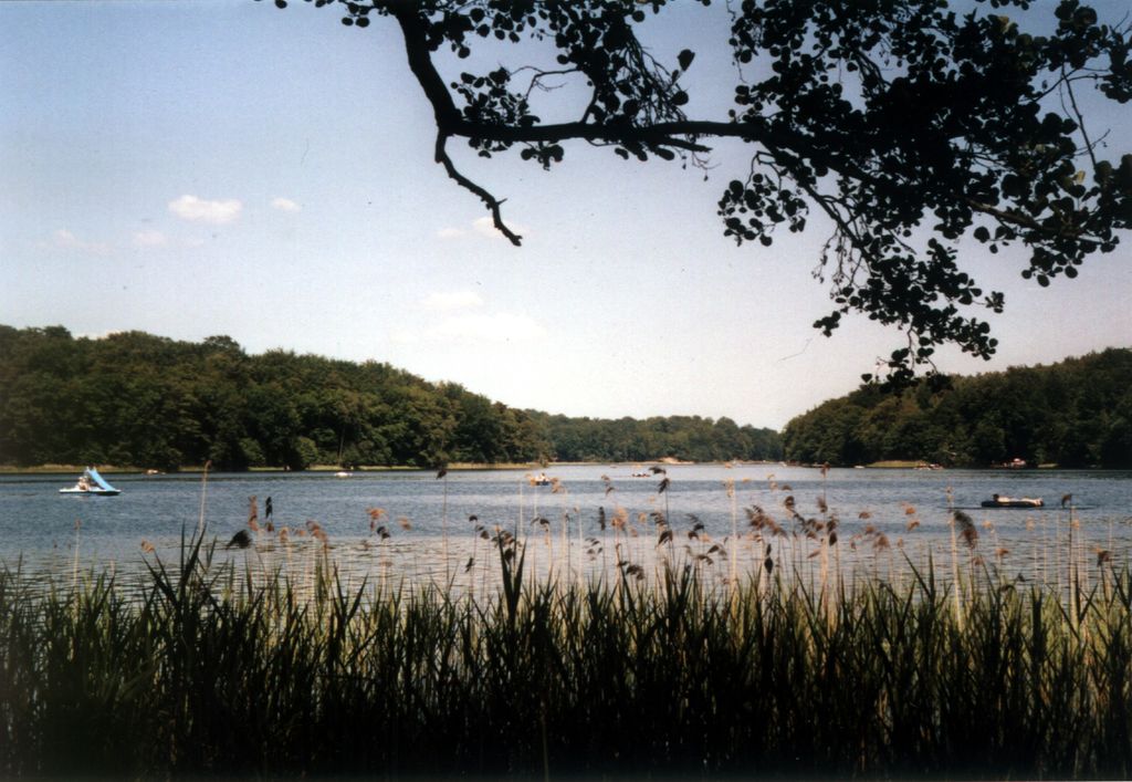 Photo №2 of Liepnitzsee