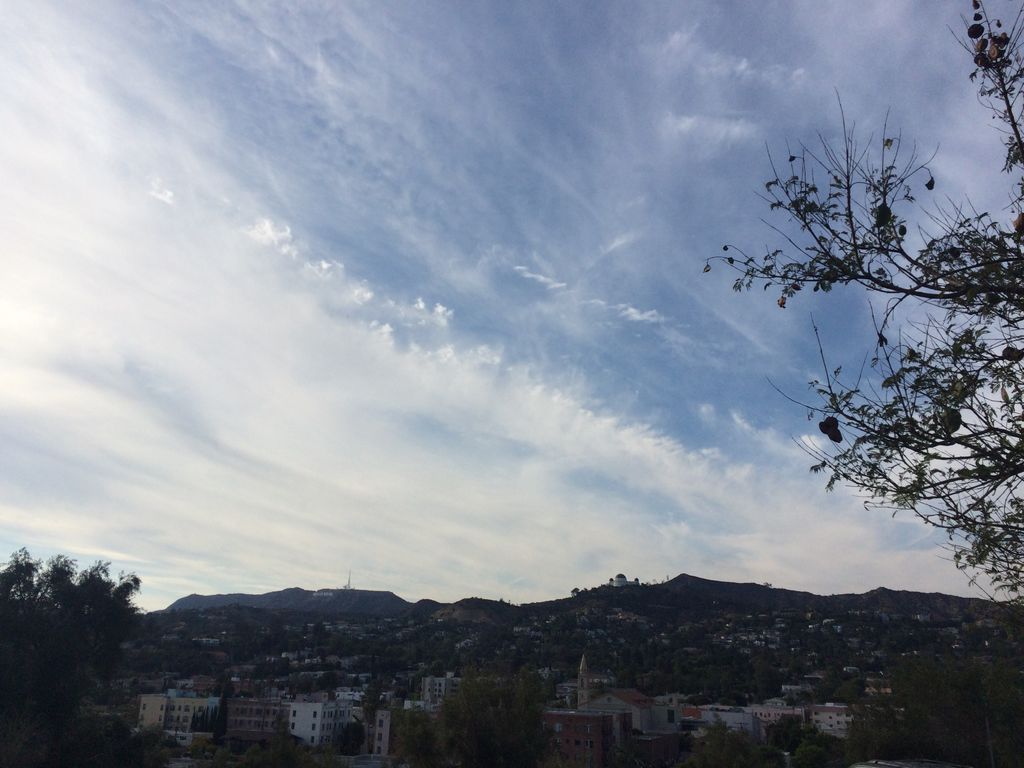 Photo №2 of Olive Hill