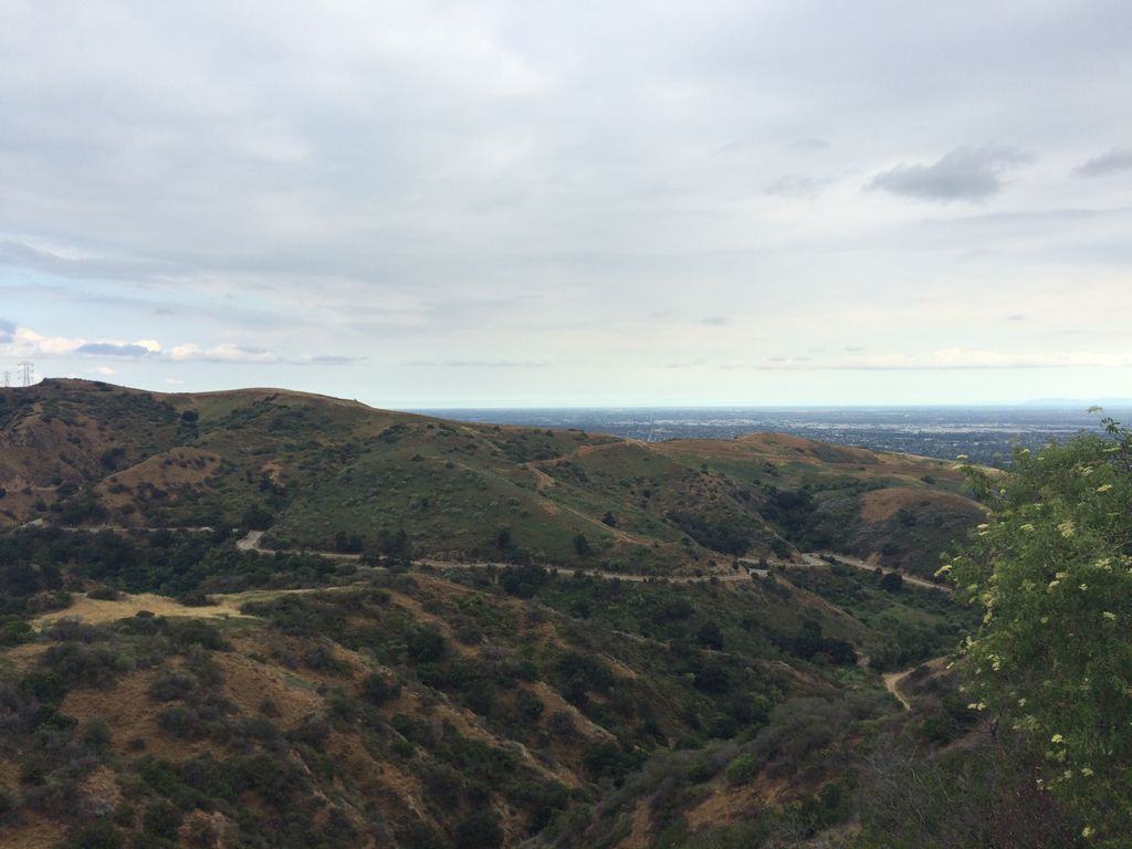 Photo №4 of Whittier Hill