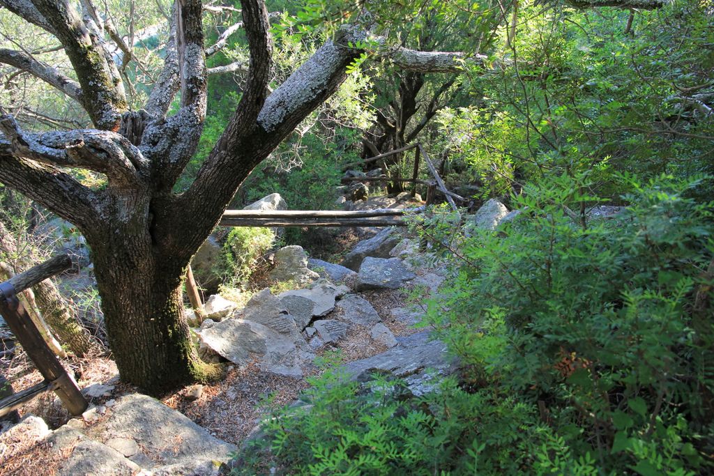 Photo №7 of Monte S. Leonardo