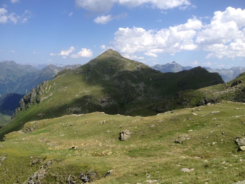 Photo №2 of Madrisella