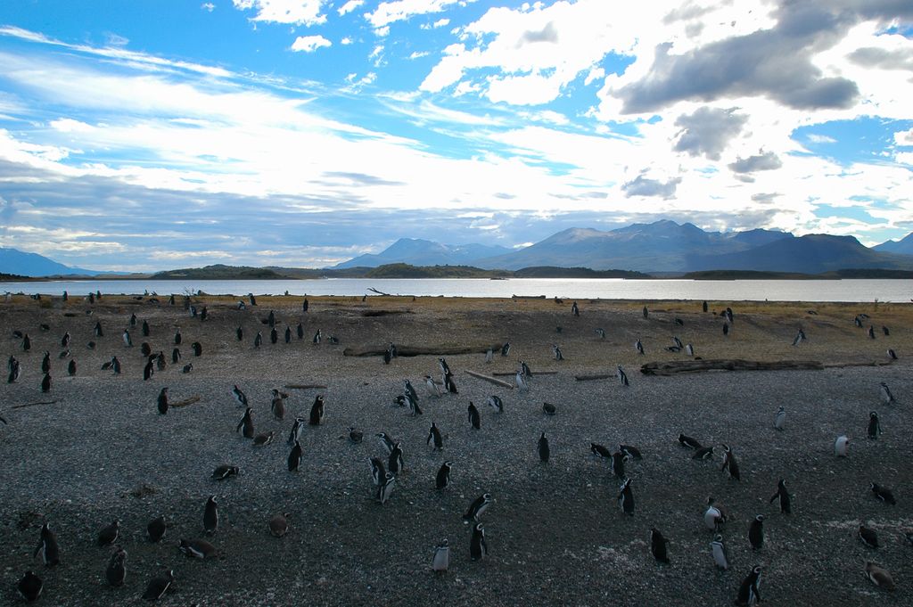 Photo №4 of Isla Martillo