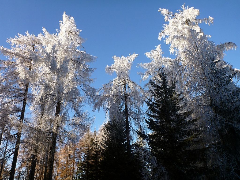 Photo №2 of Seconda